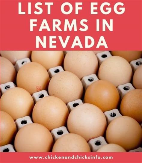 farm fresh eggs nevada.